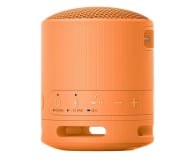 Sony SRS-XB100 Pomarańczowy - 1169972 - zdjęcie 3
